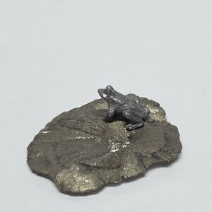Frog On Pyrite Sun Shiny Miner’s Dollar Fools Gold Illinois Gift Paperweight